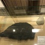 品川歴史館にある第五台場発掘の石