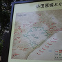 小田原合戦時の攻防図