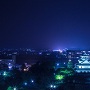 夜の長浜城