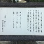 長島の大松の案内板