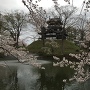 昼間の山楼と満開の桜(夜桜の翌日)