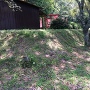稲荷神社の土塁が綺麗に残ってます