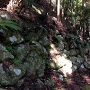 北畠神社背後の石垣