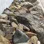 発掘された堀の石