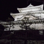 夜の丸亀城