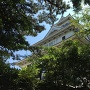 木々の間から見える長浜市長浜城歴史博物館