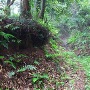 東光寺ビョウ付近の空堀跡