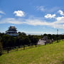 八幡山古郭東曲輪から望む小田原城