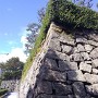 船入櫓跡の石垣