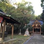 許斐神社