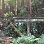 熊本ふるさとの森林 古麓歴史の森