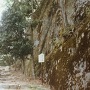 1988年当時の坂下門跡