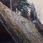 1985年当時の岩村城
