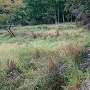 林小城 山裾の湿地帯