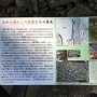 佐和山城からの移築石垣の発見の案内板