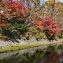 八幡堀と紅葉