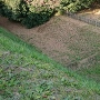 堀と畝