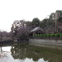 田中城　水堀越しに見る太田神社
