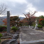 武田信義墓