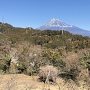本丸跡からの富士山