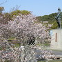 桜と元親公像