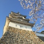 桜と坤櫓