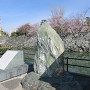 徳島城跡碑と桜咲く石垣