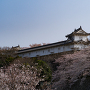 姫路城　ワの櫓と桜