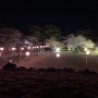 天守跡から本丸跡の夜桜見物