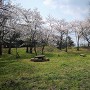中の丸(桜の季節2019)