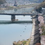 天守から木曽川沿いの桜とツインブリッジ犬山橋