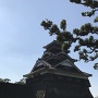 加藤神社からの宇土櫓