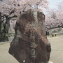 桑名城址（九華公園）は桜の名所