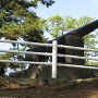辰巳櫓跡に鎮座する大砲