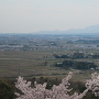本丸跡からの眺望(高田平野と米山)