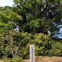 富士見櫓跡