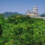新緑の景福寺山からの姫路城