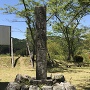 亀山城址石碑