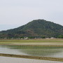 八幡山城遠景