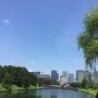 遠くに桜田門が見えます。