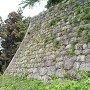 植物と共生する石垣