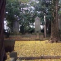 森川家墓地