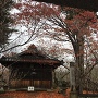 新城神社