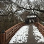 桜雲橋