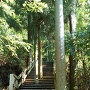 木造の階段