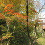空堀の紅葉と桜雲橋