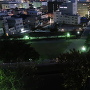 舞鶴城公園夜景