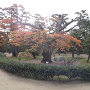 高松城・披雲閣の庭園