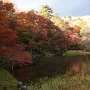 るり池の紅葉