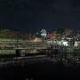 夜の桜門橋
